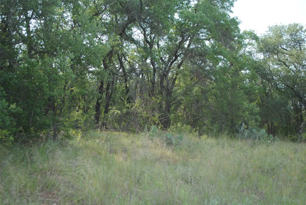 Cr 190 Comanche, TX 76442