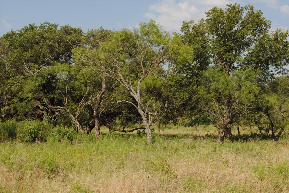Cr 190 Comanche, TX 76442