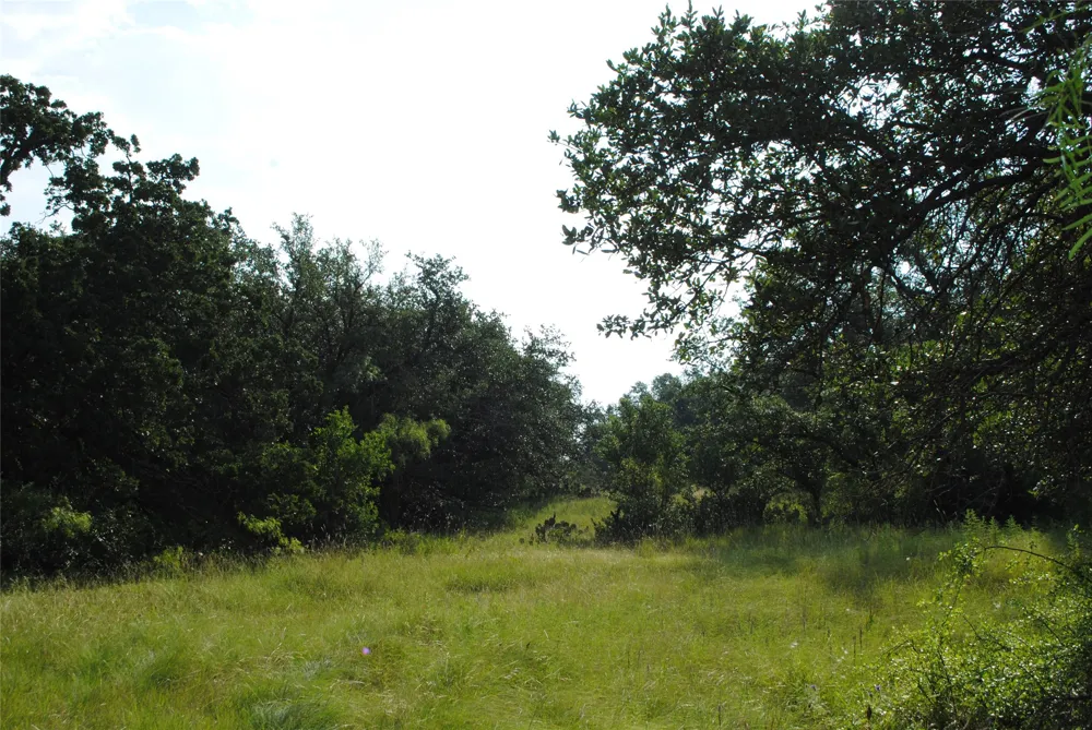 Cr 190 Comanche, TX 76442