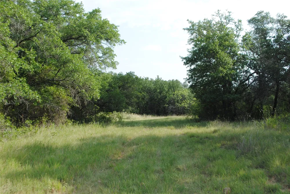 Cr 190 Comanche, TX 76442