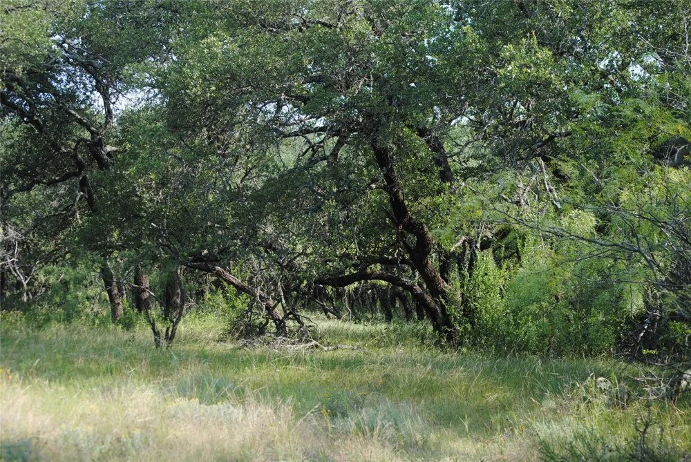 Cr 190 Comanche, TX 76442
