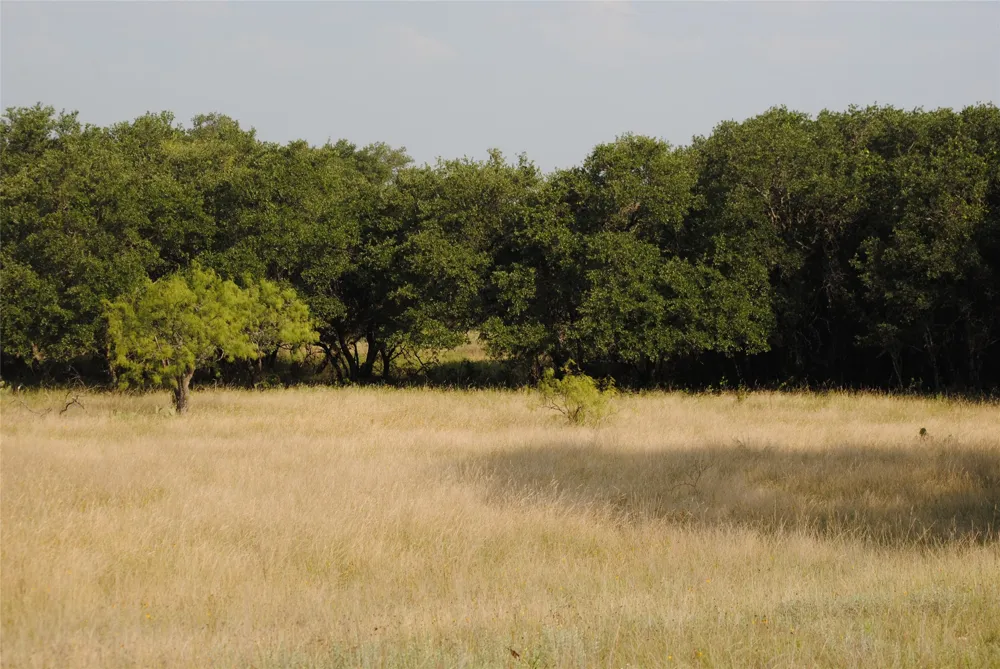 Cr 190 Comanche, TX 76442