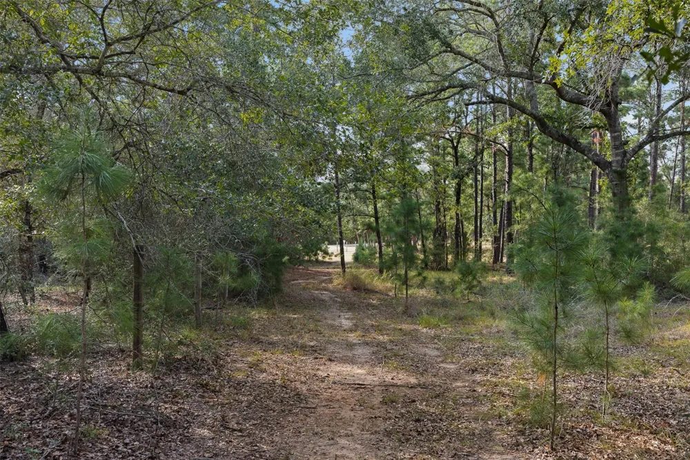 526 Piney Creek Road La Grange, TX 78945