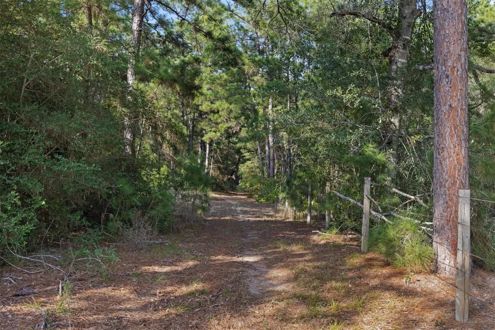 526 Piney Creek Road La Grange, TX 78945
