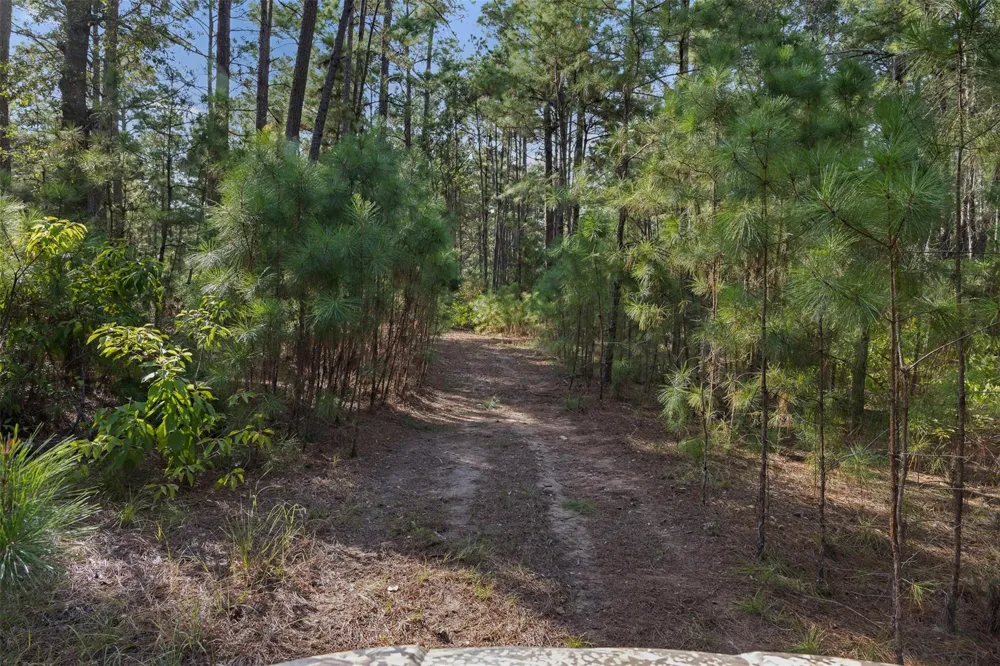 526 Piney Creek Road La Grange, TX 78945