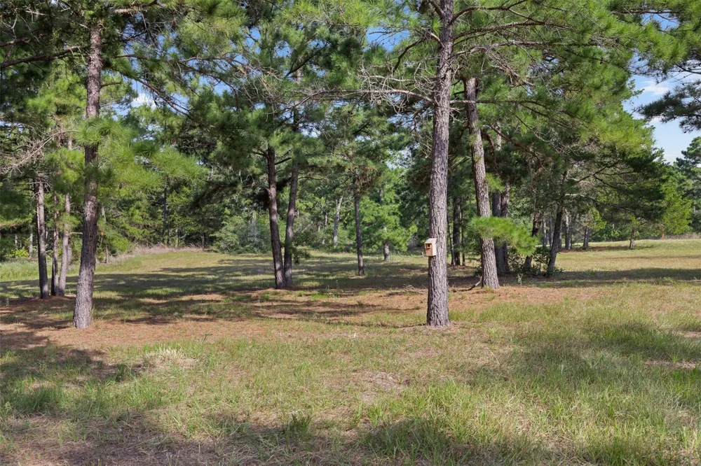 526 Piney Creek Road La Grange, TX 78945