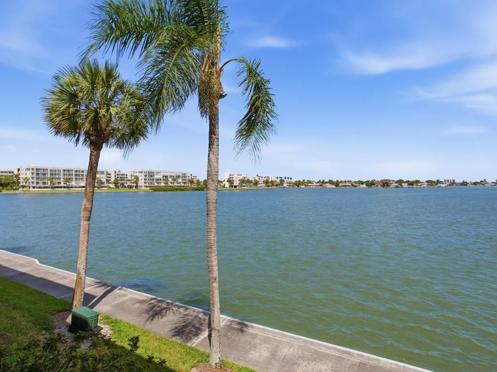 7920 SUN ISLAND DRIVE S #202 South Pasadena, FL 33707