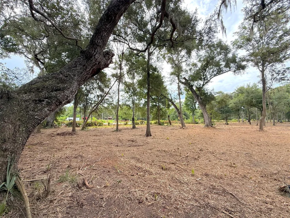 12 Cr 345 Brazoria, TX 77422