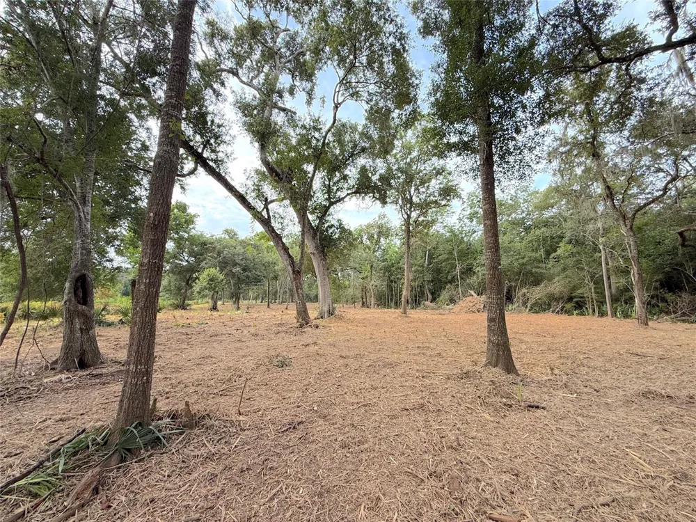 12 Cr 345 Brazoria, TX 77422