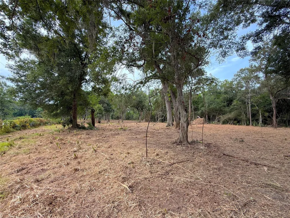 12 Cr 345 Brazoria, TX 77422