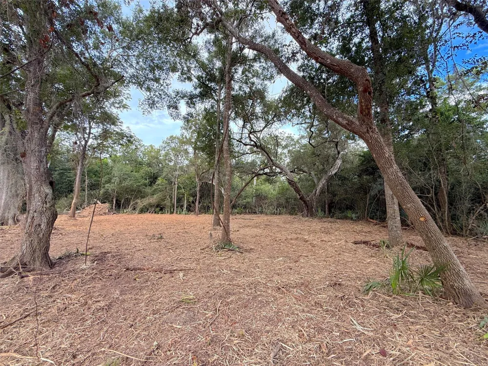12 Cr 345 Brazoria, TX 77422