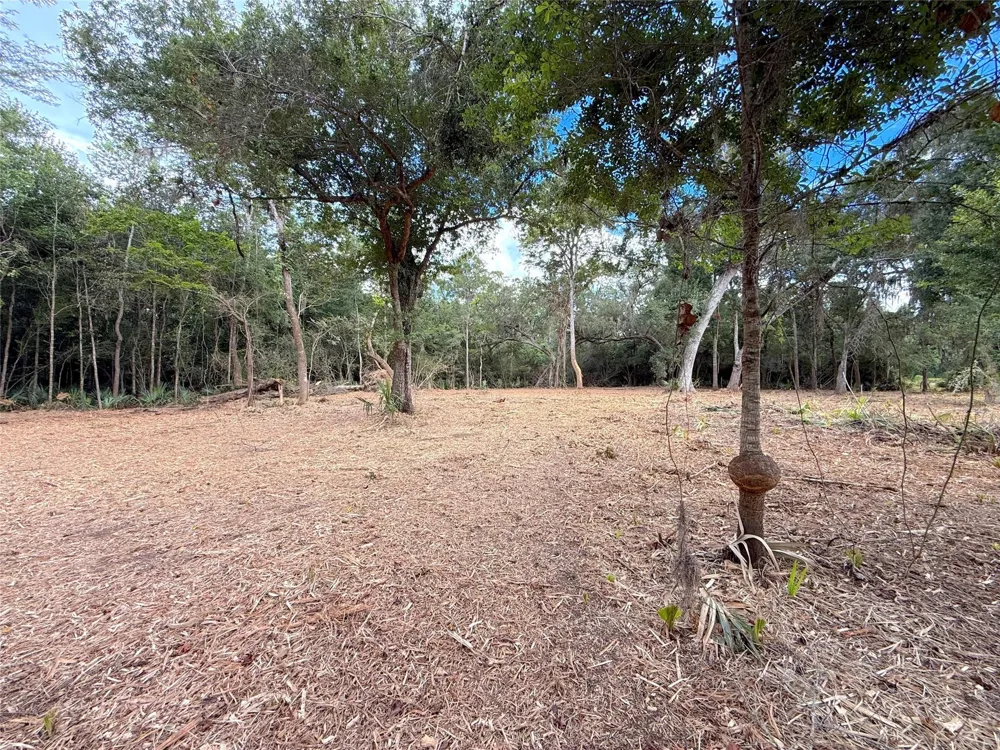 12 Cr 345 Brazoria, TX 77422