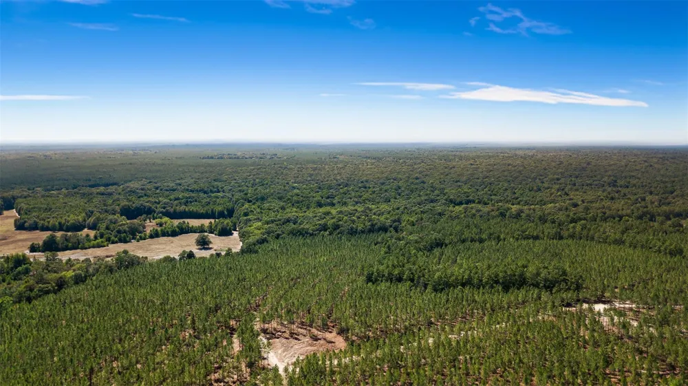 508 Hubert Cryer Road Zavalla, TX 75980