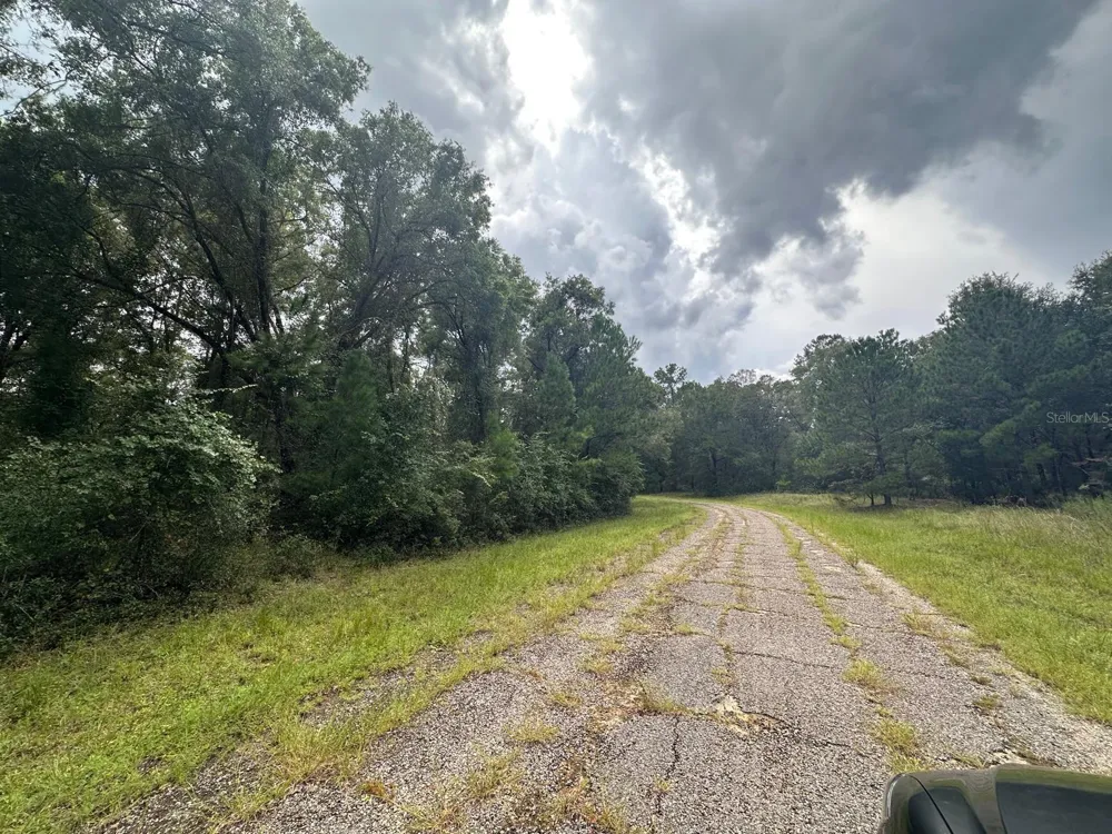 1574 E IVYDALE DRIVE Citrus Springs, FL 34434