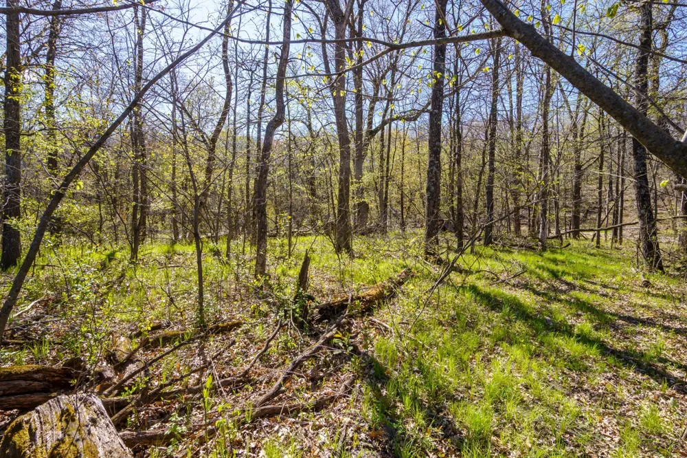 Block A XXX Oak Grove, MN 55070