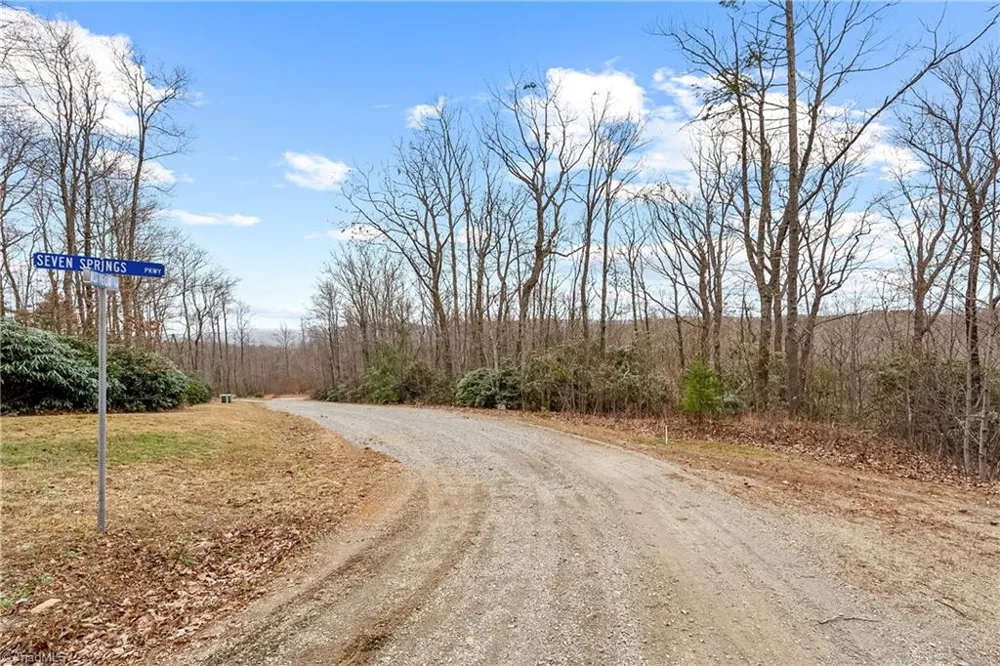 TBD W Pheasant Chase Ararat, VA 24053