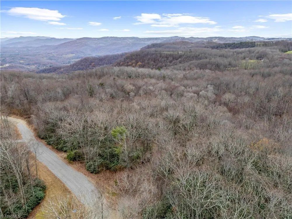 TBD W Pheasant Chase Ararat, VA 24053