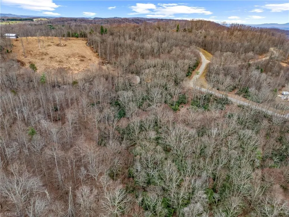 TBD W Pheasant Chase Ararat, VA 24053