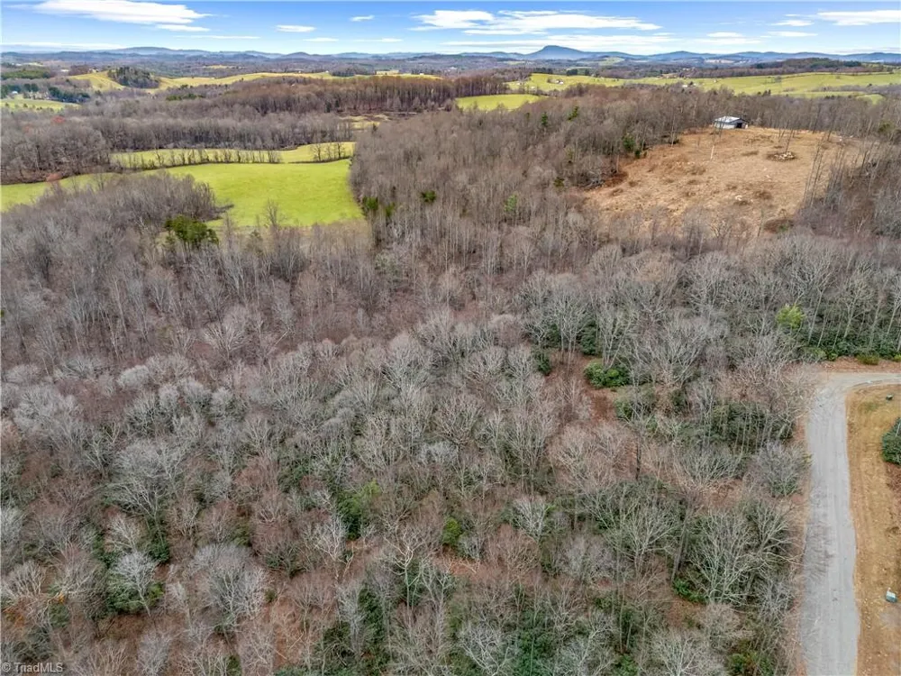 TBD W Pheasant Chase Ararat, VA 24053