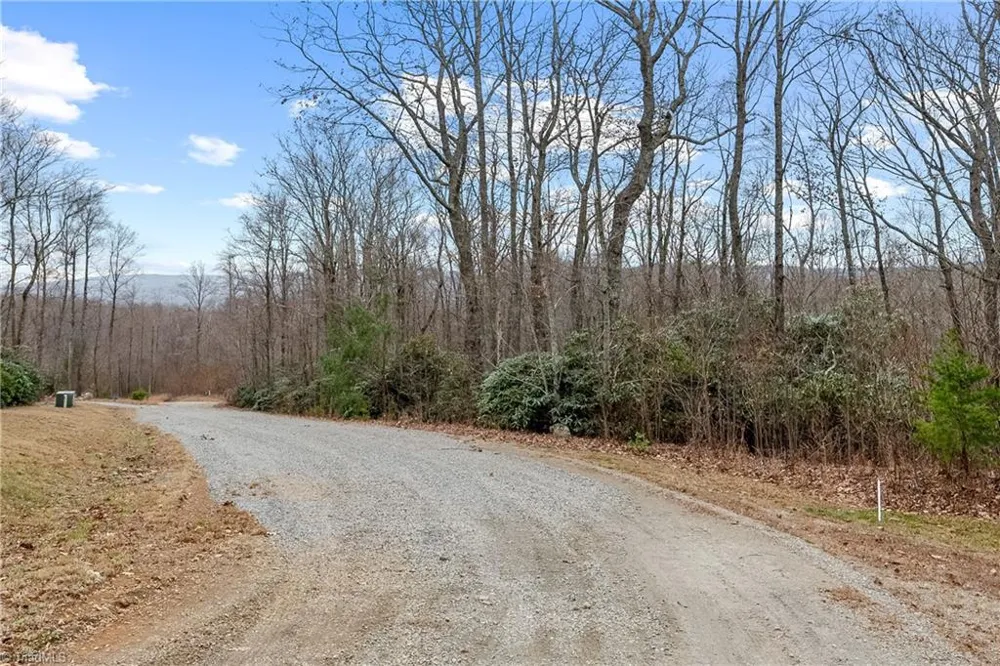 TBD W Pheasant Chase Ararat, VA 24053