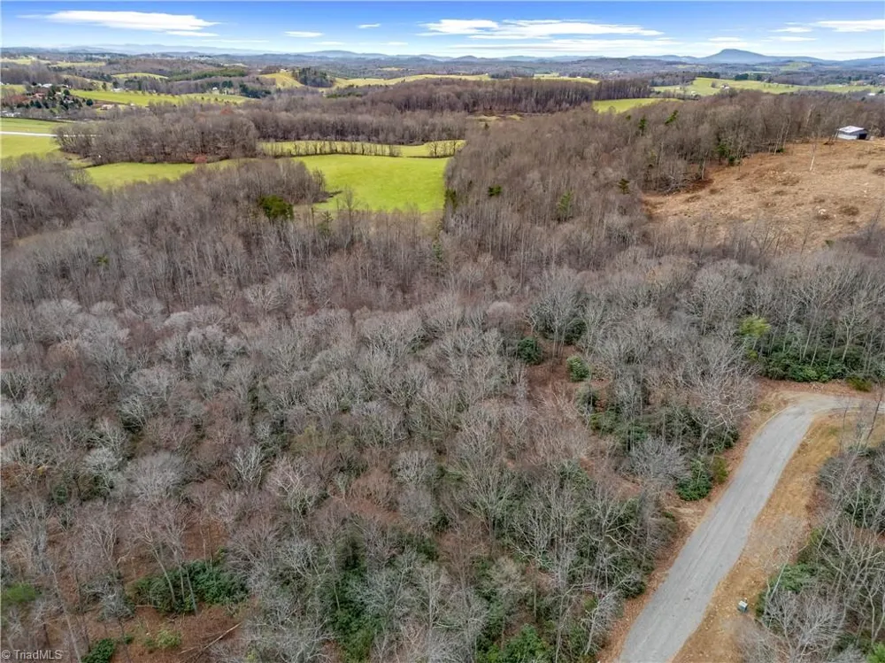 TBD W Pheasant Chase Ararat, VA 24053