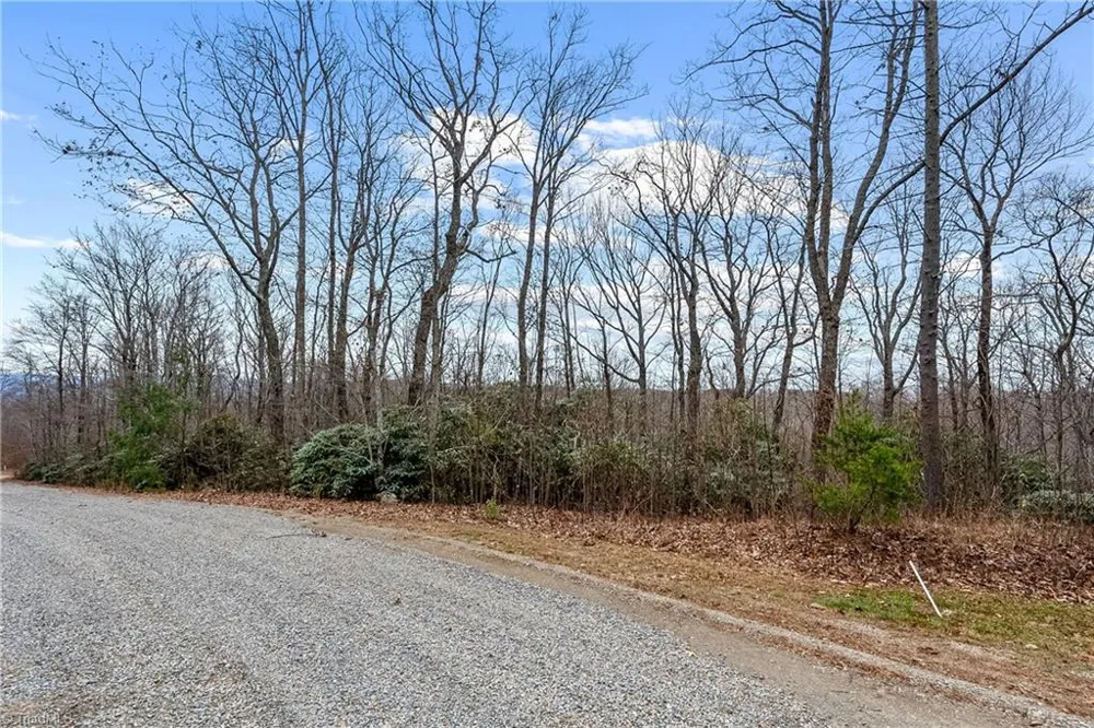 TBD W Pheasant Chase Ararat, VA 24053
