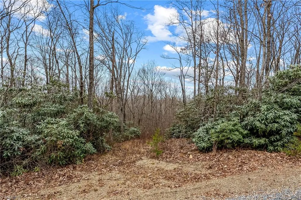 TBD W Pheasant Chase Ararat, VA 24053