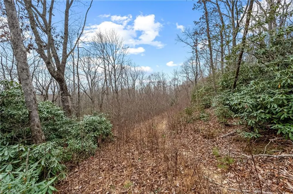 TBD W Pheasant Chase Ararat, VA 24053
