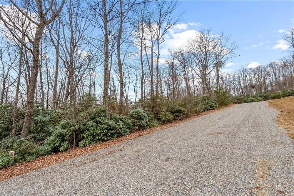 TBD W Pheasant Chase Ararat, VA 24053