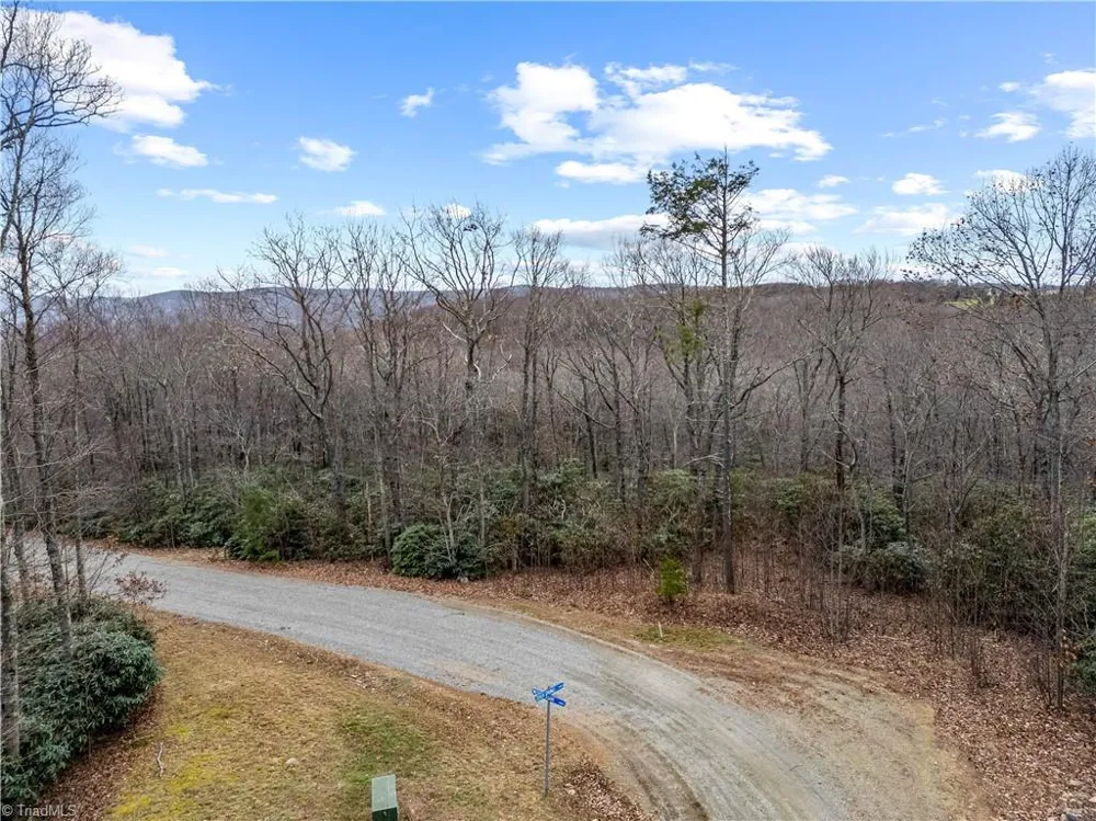 TBD W Pheasant Chase Ararat, VA 24053