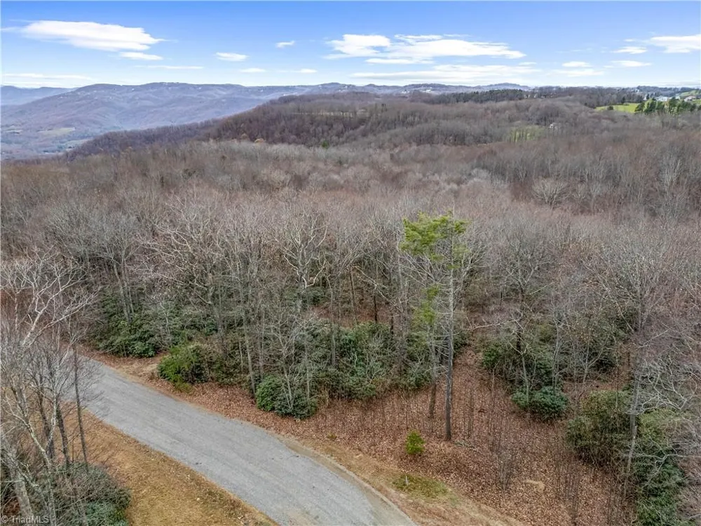 TBD W Pheasant Chase Ararat, VA 24053