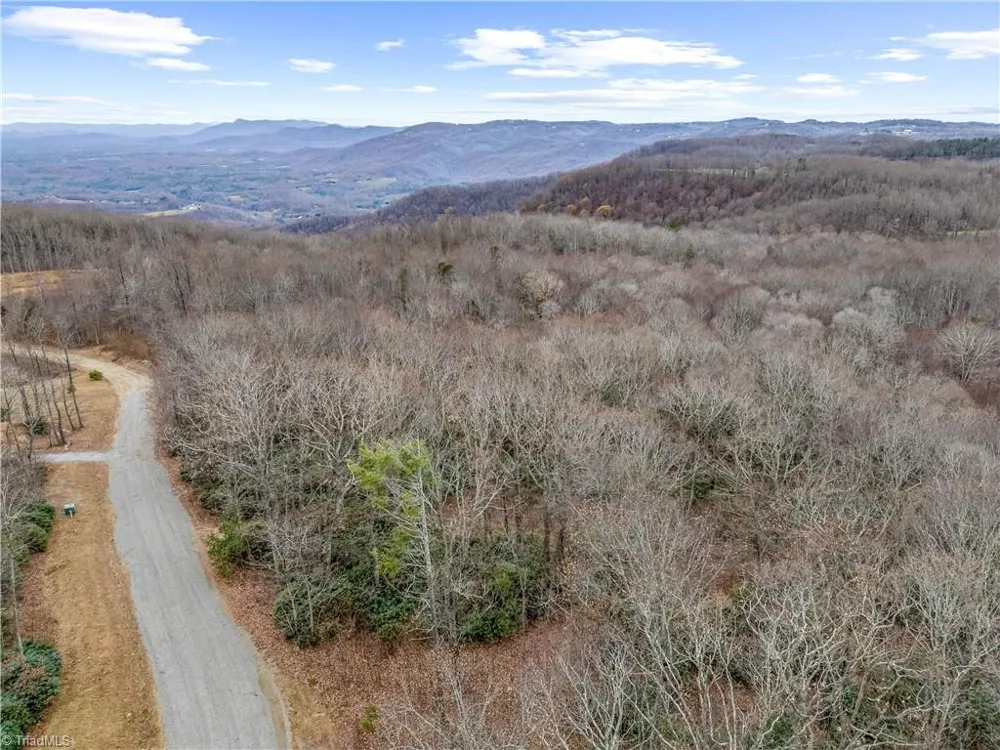 TBD W Pheasant Chase Ararat, VA 24053