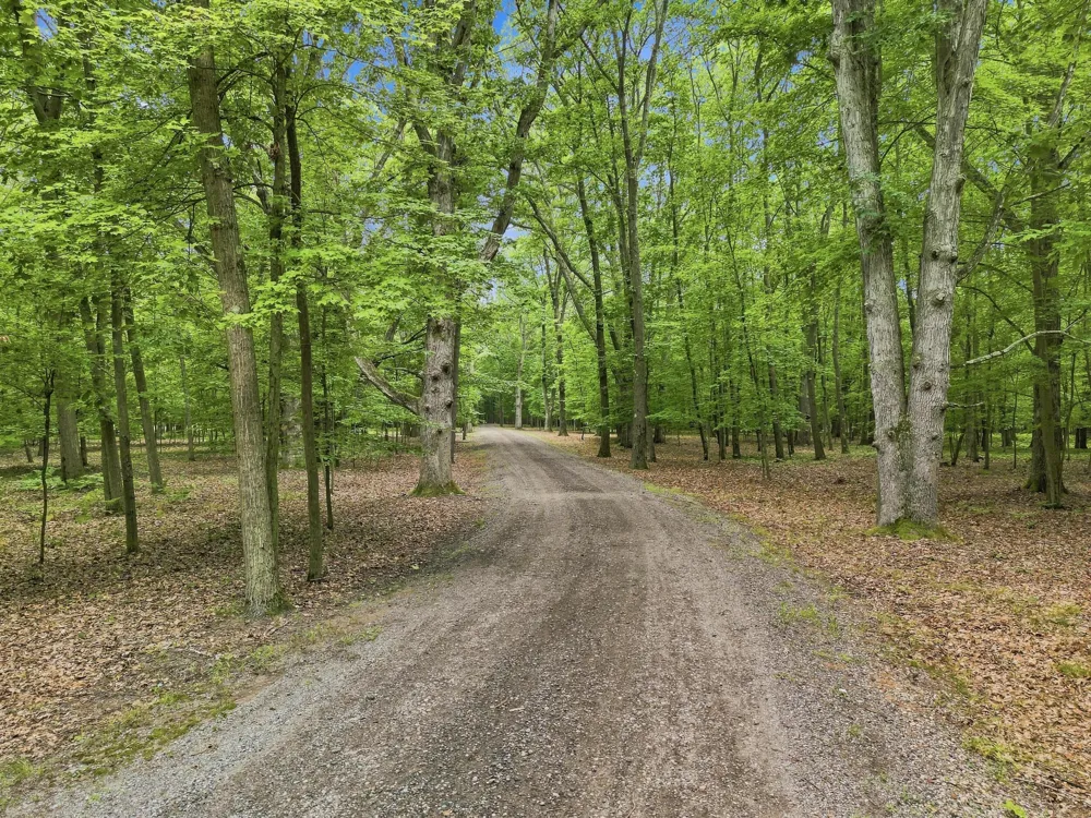 8423 S Harnden Drive Fremont, MI 49412