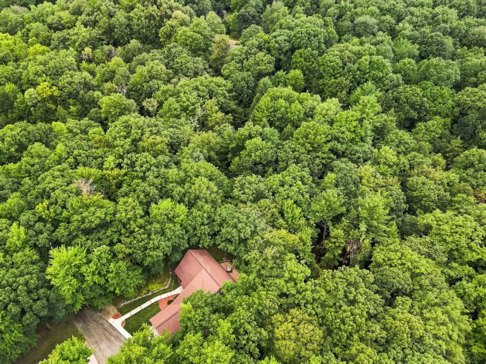 8423 S Harnden Drive Fremont, MI 49412