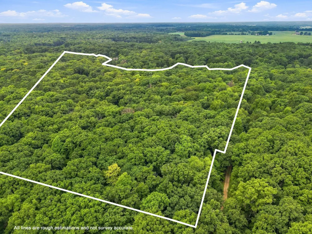 8423 S Harnden Drive Fremont, MI 49412