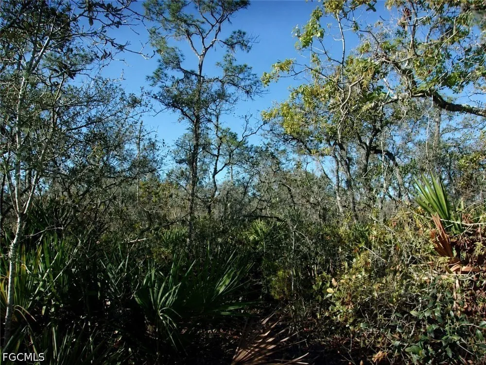 Interlacher Drive Sebring, FL 33875