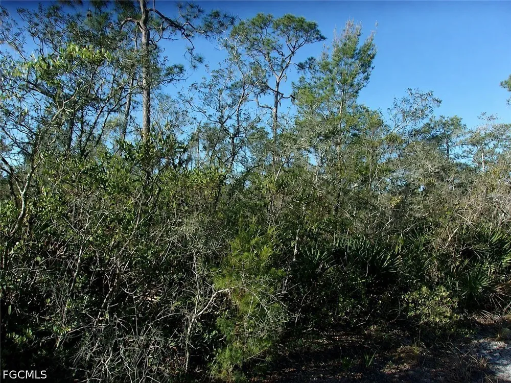 Interlacher Drive Sebring, FL 33875