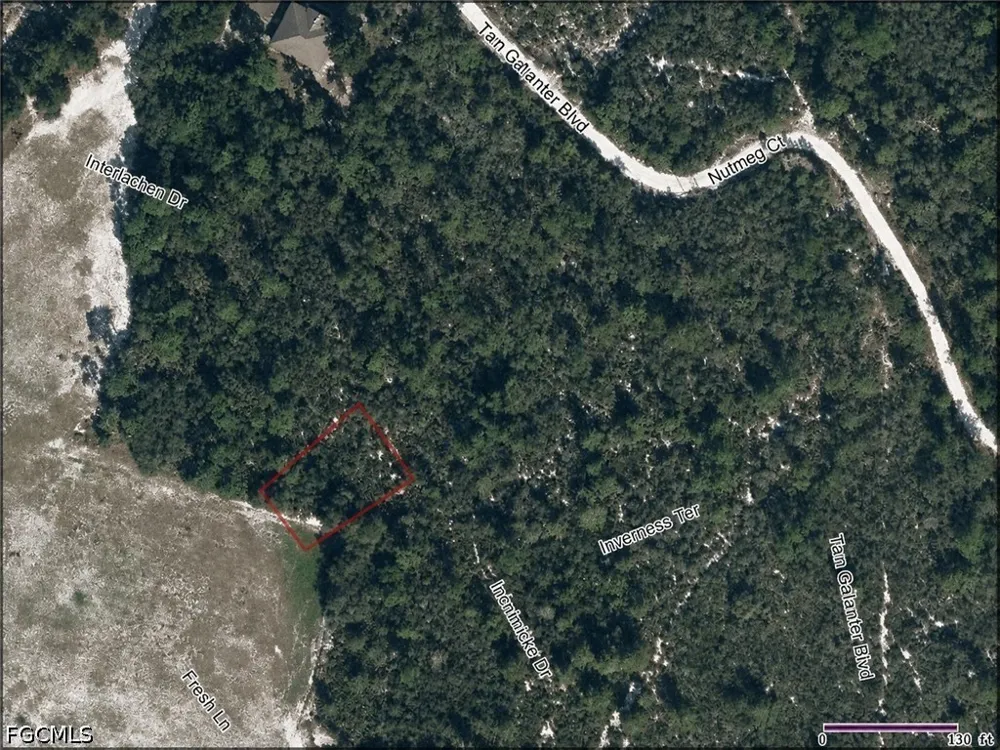 Interlacher Drive Sebring, FL 33875
