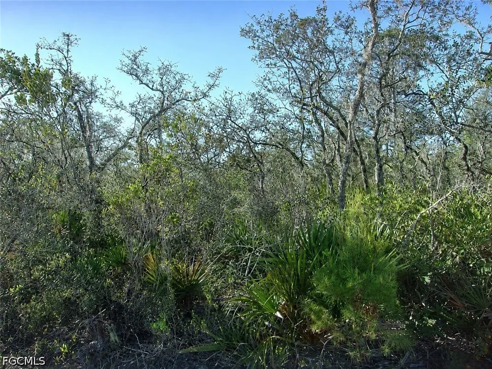 Interlacher Drive Sebring, FL 33875