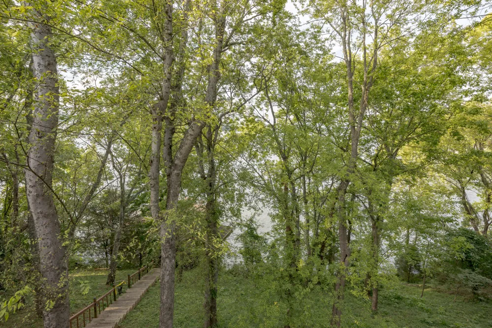 6322 Hamilton Island Road Harrison, TN 37341
