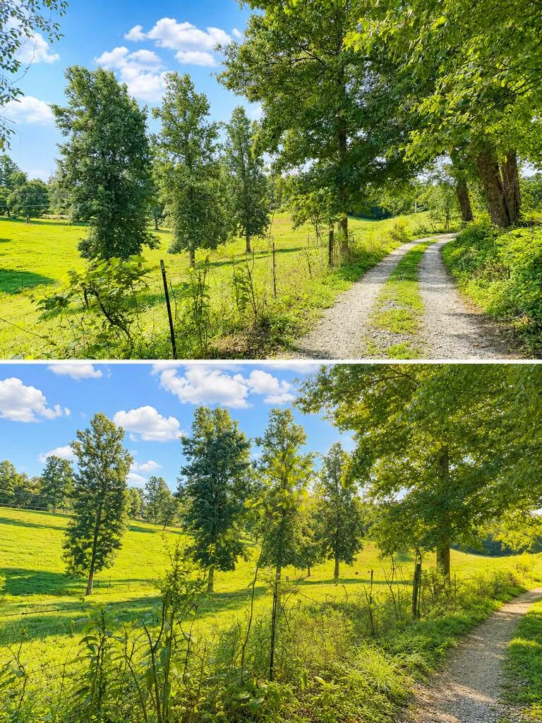282 Friendly Lane McCaysville, GA 30555