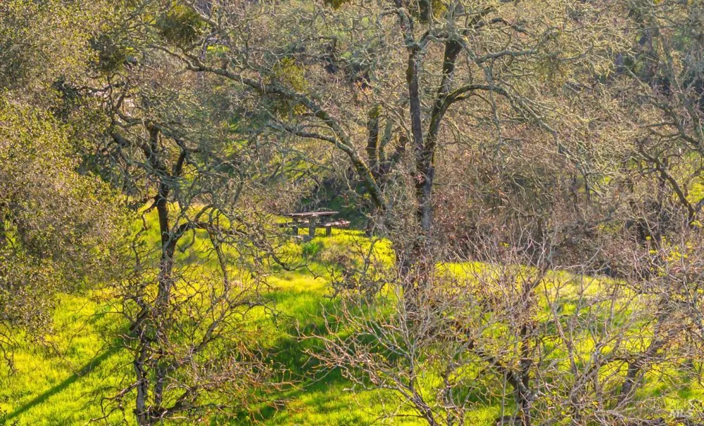 1477 Leslie Road Healdsburg, CA 95448