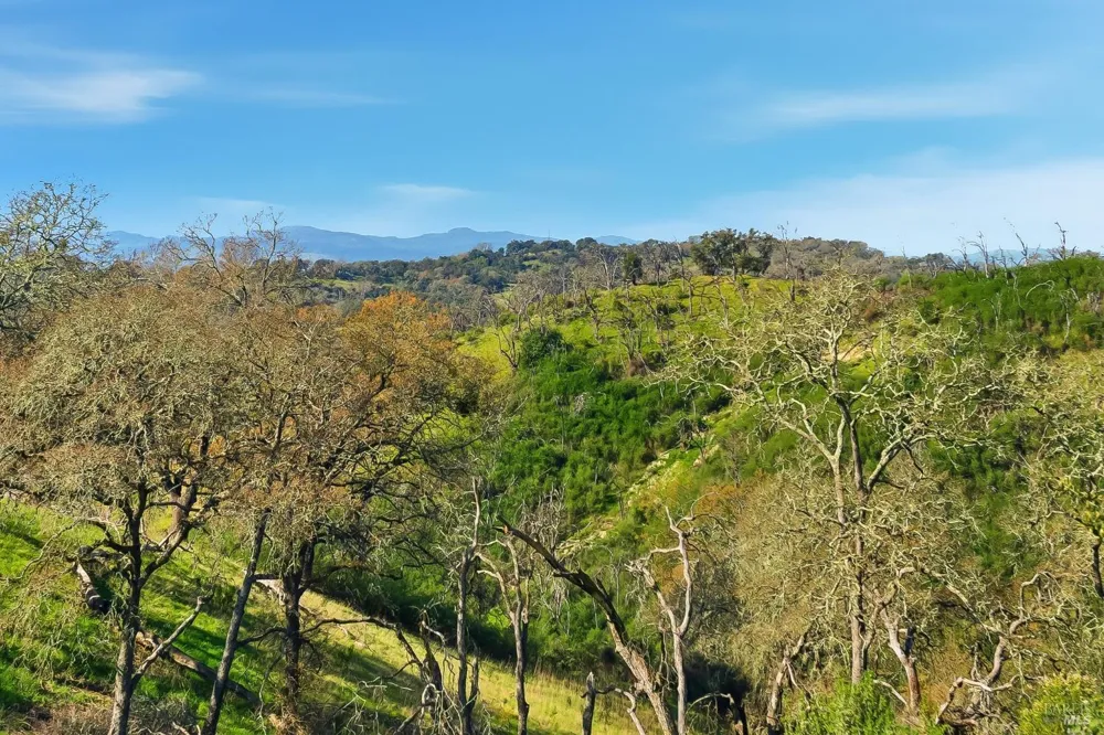1477 Leslie Road Healdsburg, CA 95448