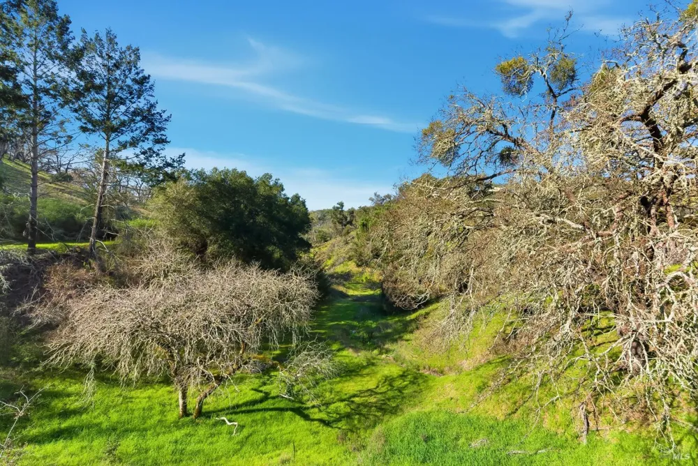 1477 Leslie Road Healdsburg, CA 95448
