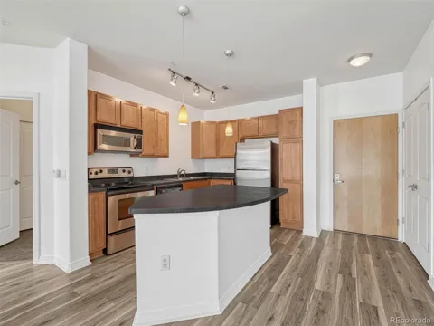 10176 Park Meadows Drive #2217