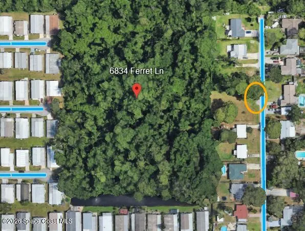 6834 Ferret Lane New Port Richey, FL 34652