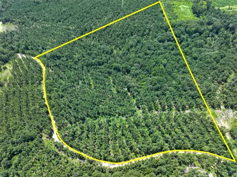 32 Slim Palmer Rd.