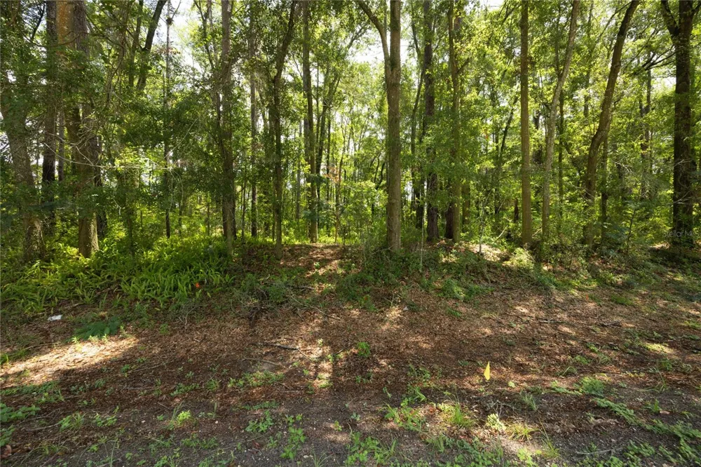 0000 NW 34TH STREET Gainesville, FL 32605