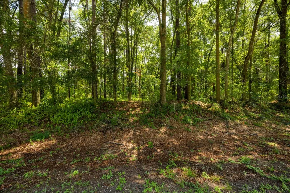 0000 NW 34TH STREET Gainesville, FL 32605