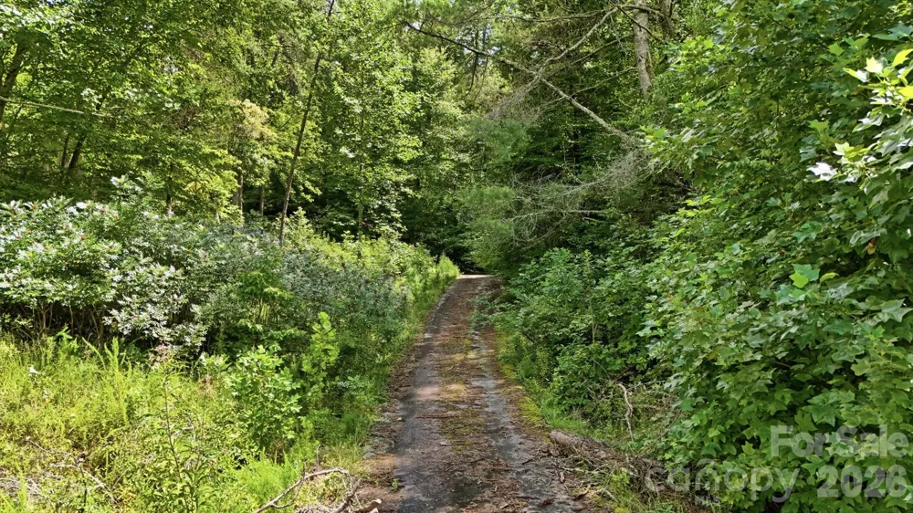 00 Brookstone Mountain Trail #34 Franklin, NC 28734